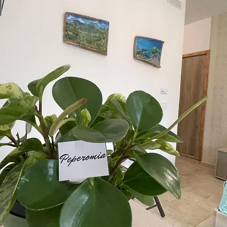 Bed & Breakfast Greenlove 4*