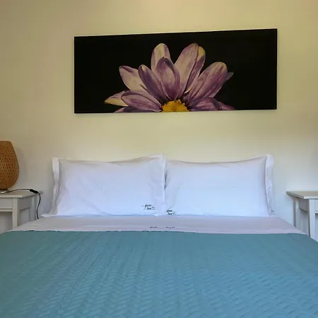 Greenlove Bed & Breakfast *