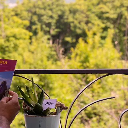 Bed and Breakfast Greenlove 4*